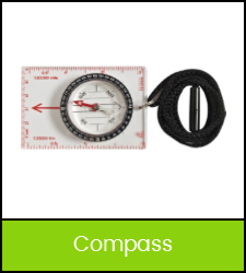 Analog compass