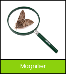 Large magnifying glass with butterfly