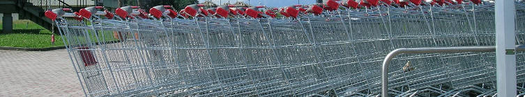 Shopping carts