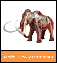 Woolly Mammoth model image with orange frame that links to catalog record