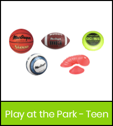 Basketball, football, flying disc, volleyball, and low profile cones image with green frame that links to catalog record