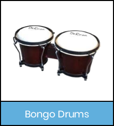 Bongo drums in blue frame image with link to catalog record